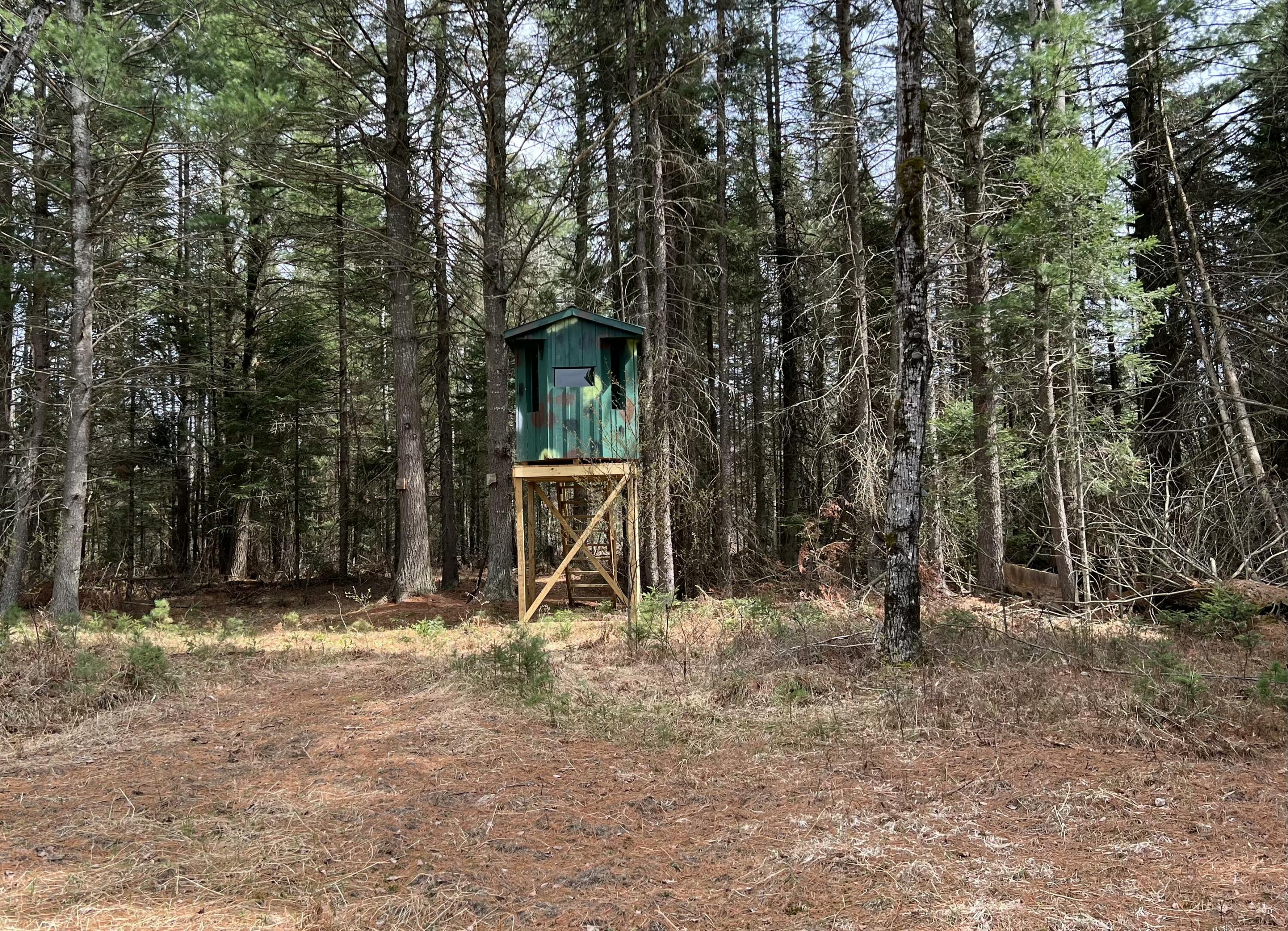 1570 Ryno Road Luzerne, MI 48636 - Photo 54 of 55 25