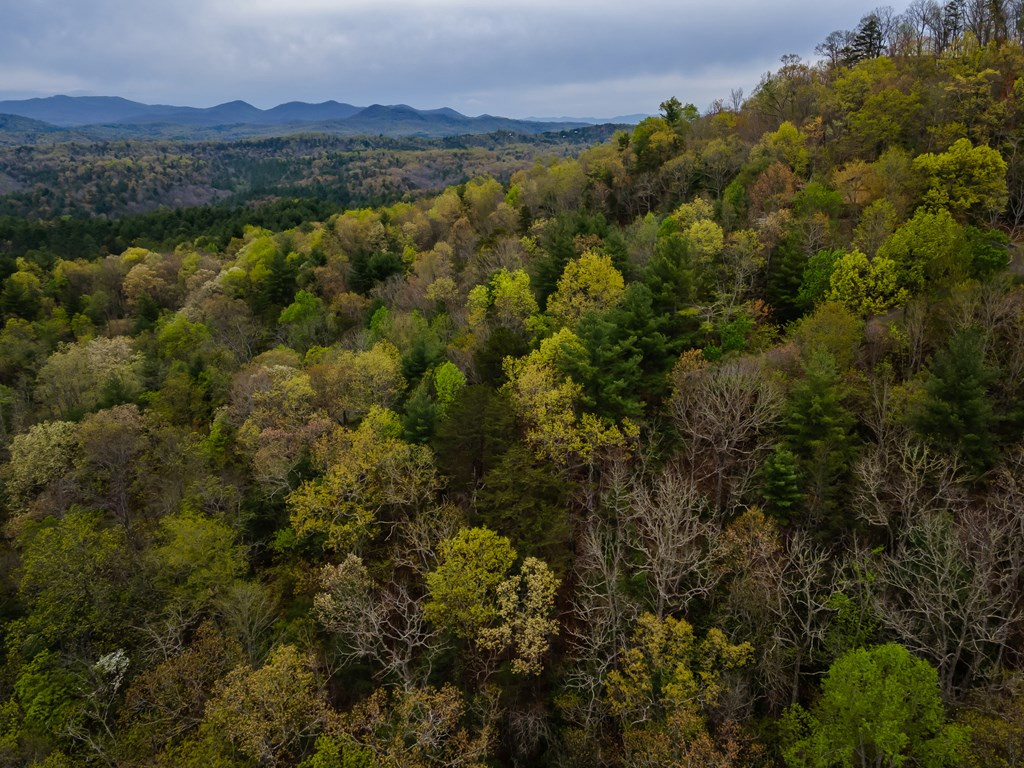 Lot 49 Ravens Ridge Mineral Bluff, GA 30559 - Photo 19 of 23 Gallery Image 19