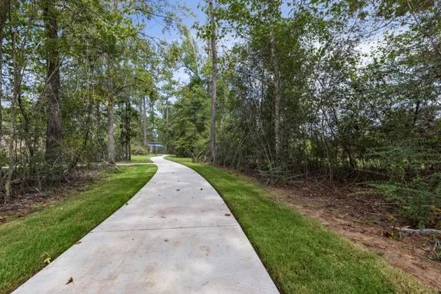 a view of a yard with plants and large trees