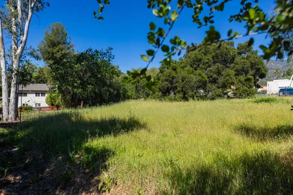 a view of a garden with a lake