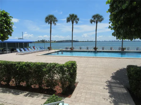 a view of a lake with a palm tree