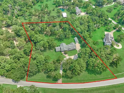 a view of a lush green forest with lots of trees