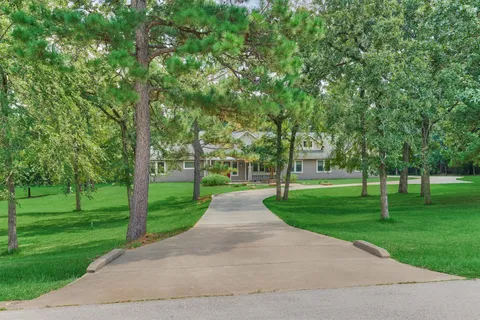 a park with lots of trees