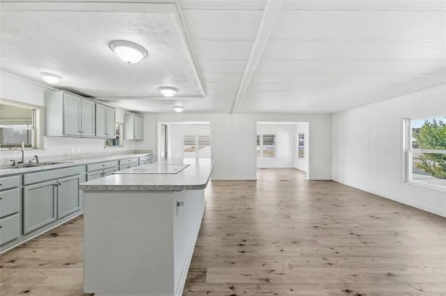 a view of a yard with plants and a trees