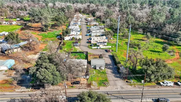 a view of a yard with plants and large trees