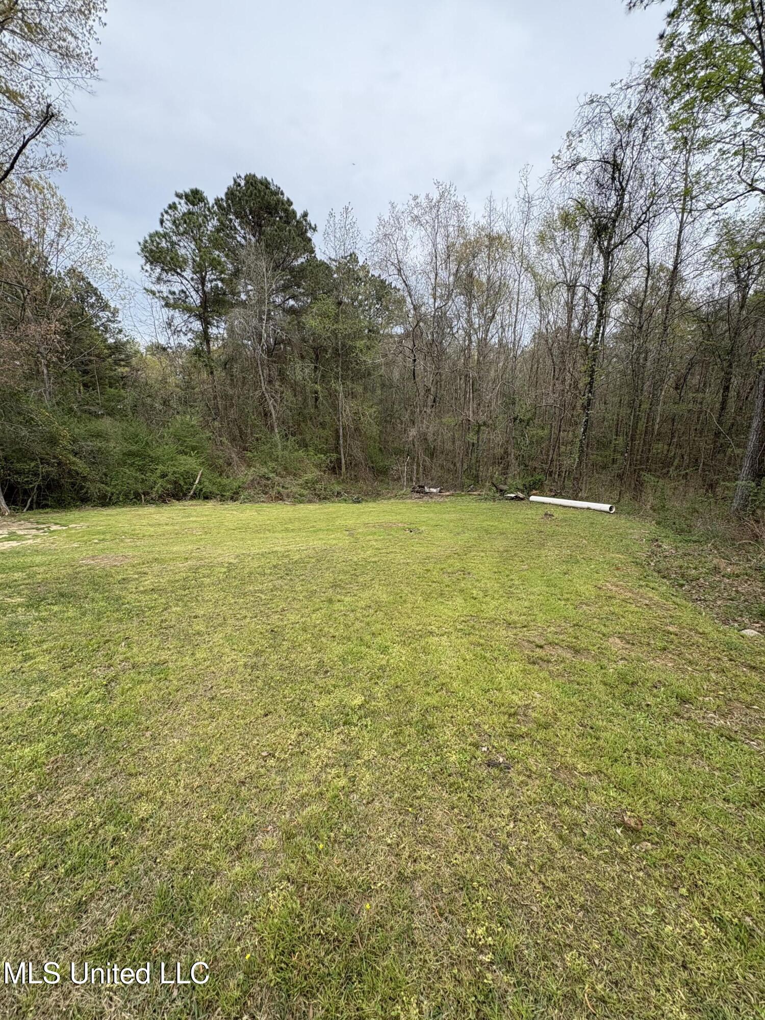 120 McAlpin Road Florence, MS 39073 - Photo 8 of 21 IMG_0243