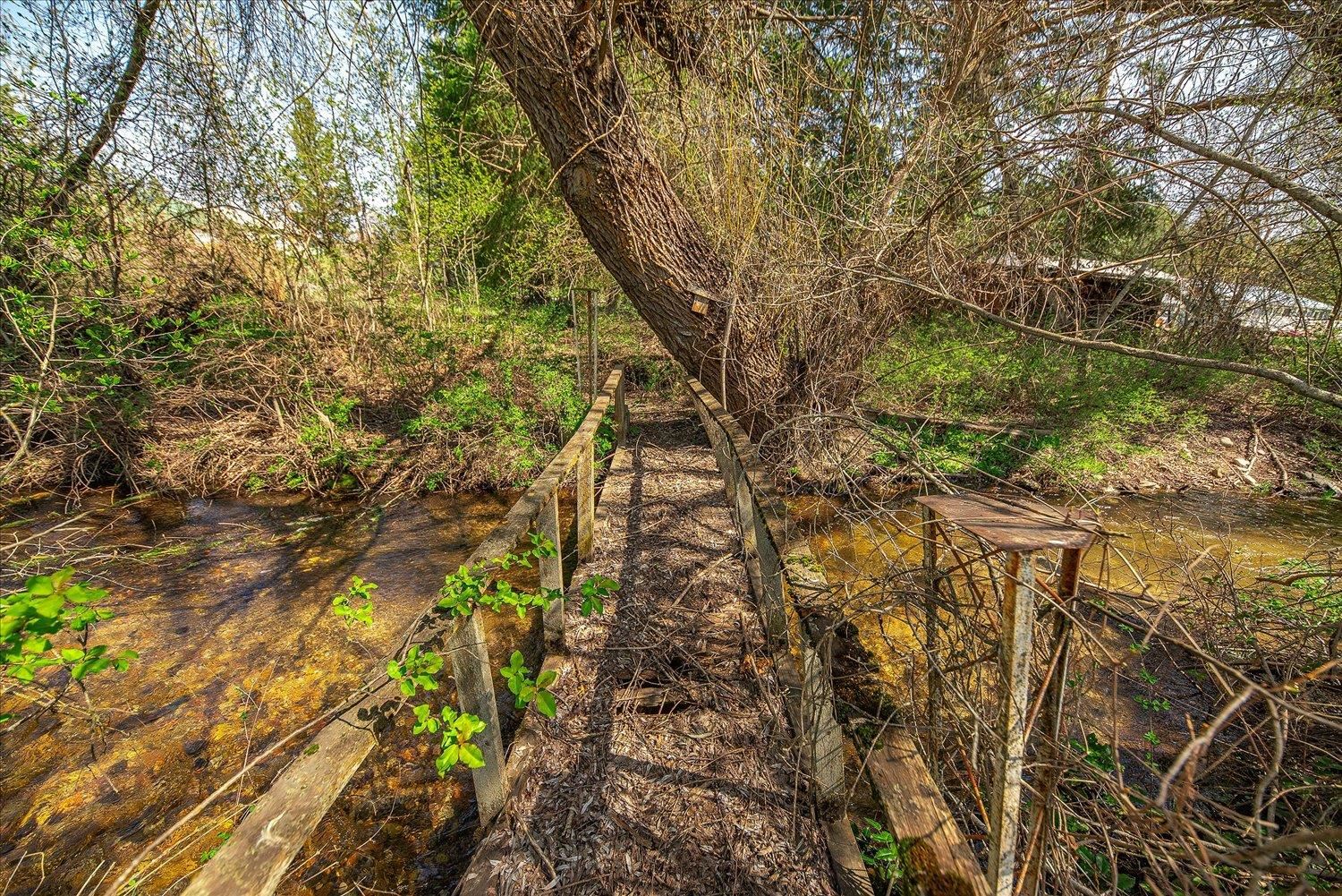 3967 Springdale Hunters Road Springdale, WA 99173 - Photo 41 of 50