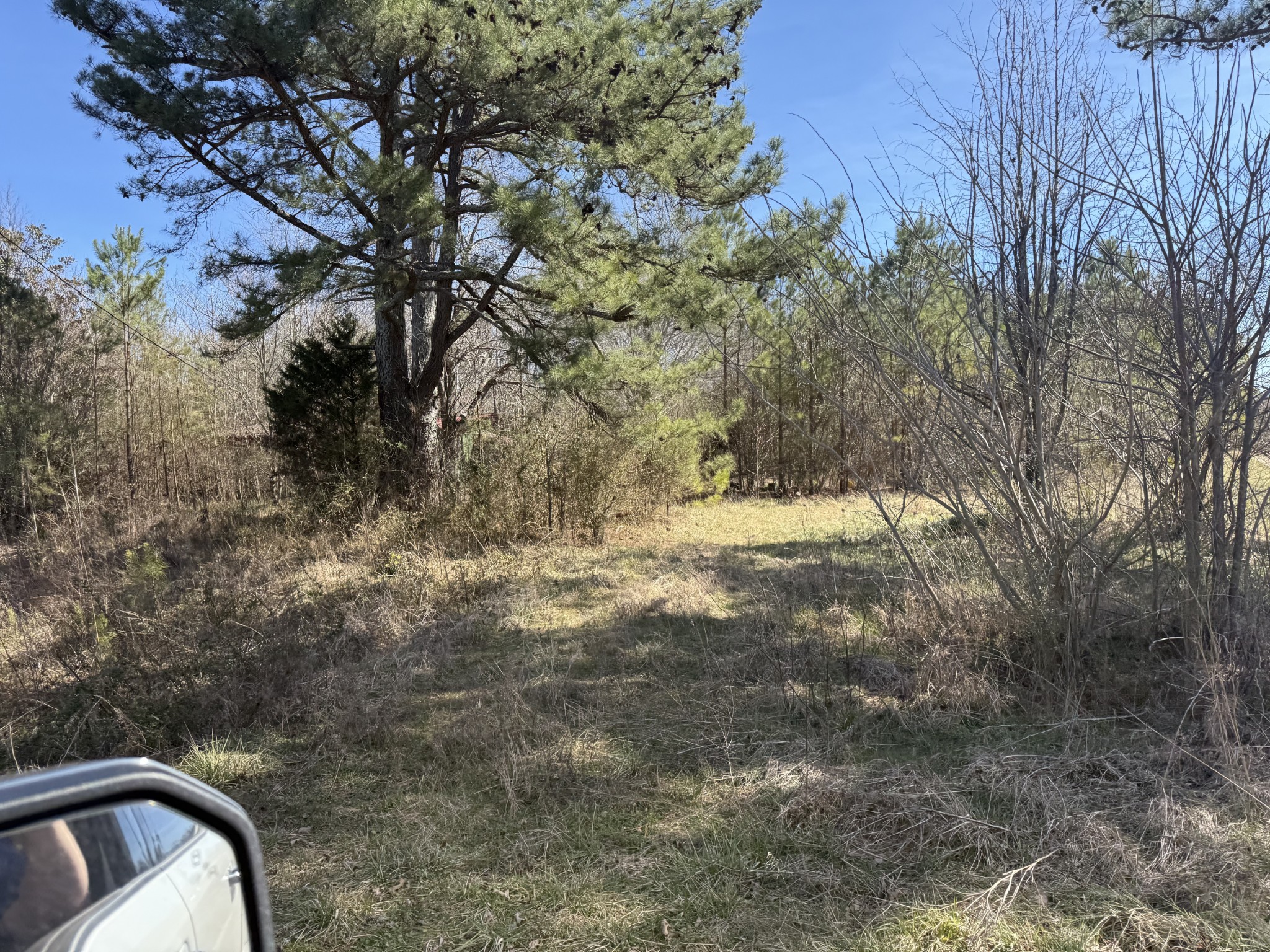 9142 Buttermilk Ridge Road Lawrenceburg, TN 38464 - Photo 3 of 7 Gallery Image 3