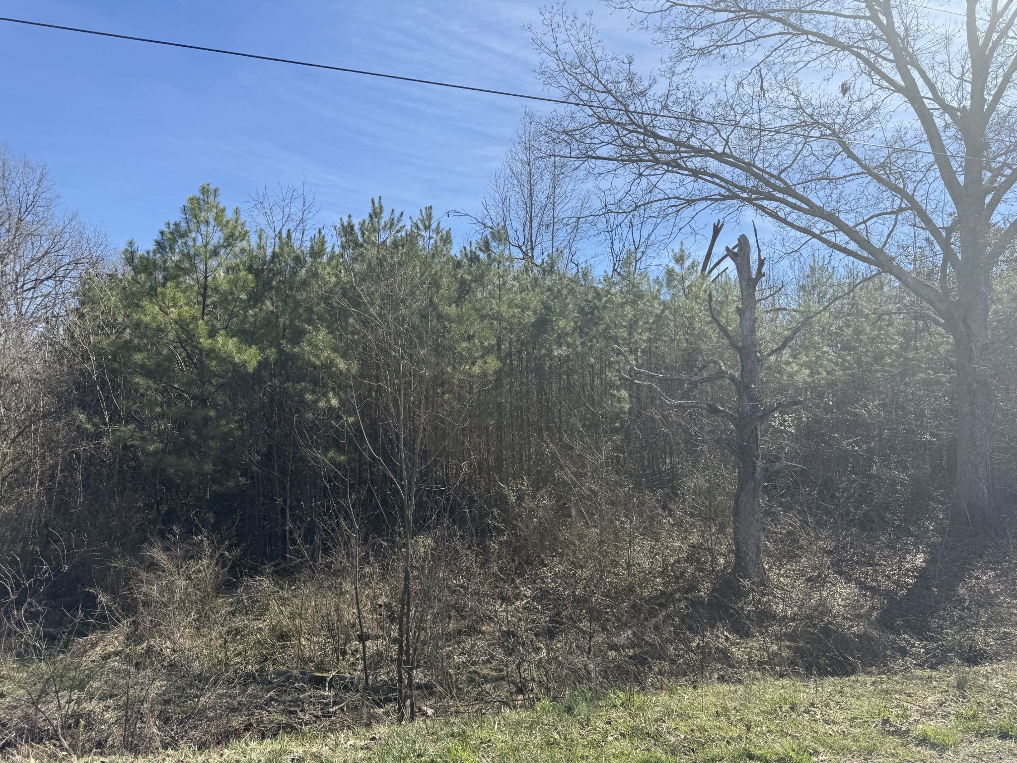 9142 Buttermilk Ridge Road Lawrenceburg, TN 38464 - Photo 7 of 7 Gallery Image 7