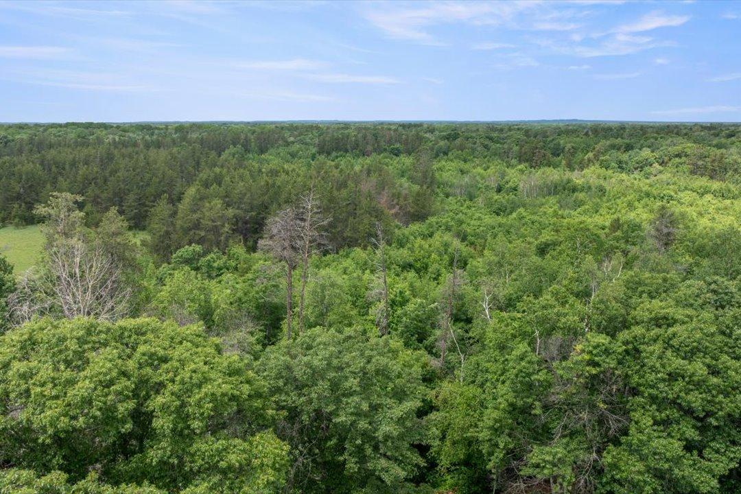 16715 Paul Road Brainerd, MN 56401 - Photo 41 of 63