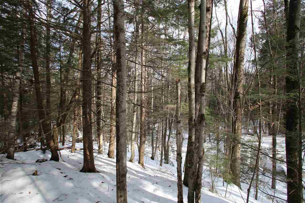 140 Cutts Road Newport, NH 03773 - Photo 14 of 40