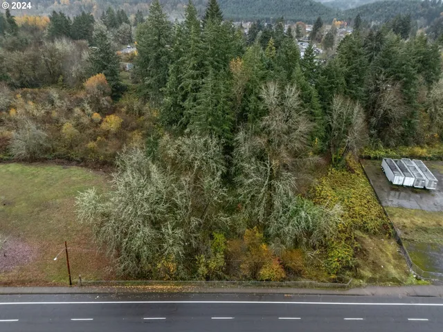 $125,000 | 0 Main Street, Sweet Home, OR 97386