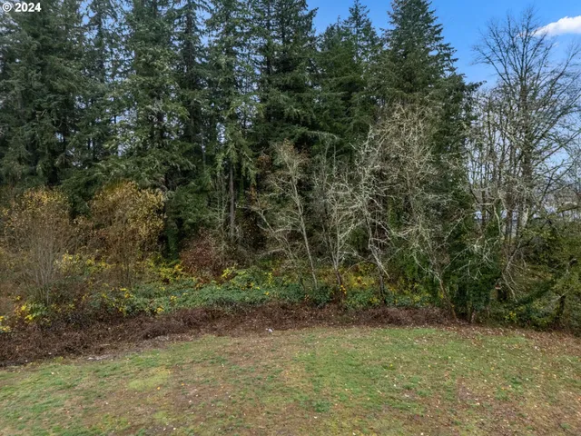 $125,000 | 0 Main Street, Sweet Home, OR 97386