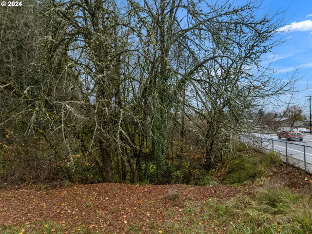 $125,000 | 0 Main Street, Sweet Home, OR 97386