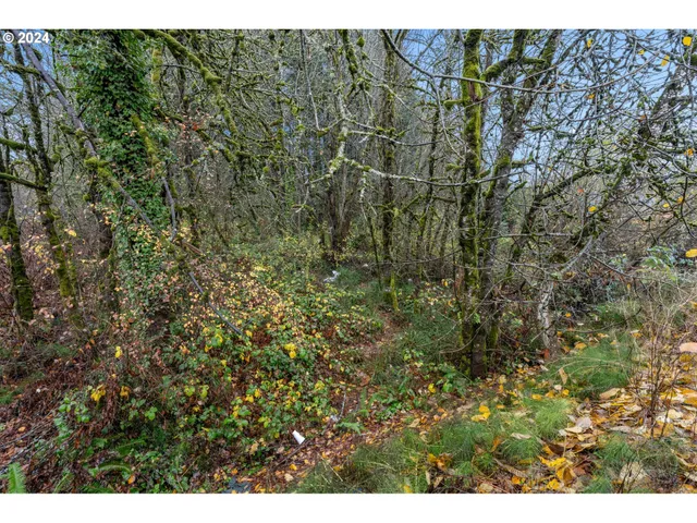 $125,000 | 0 Main Street, Sweet Home, OR 97386