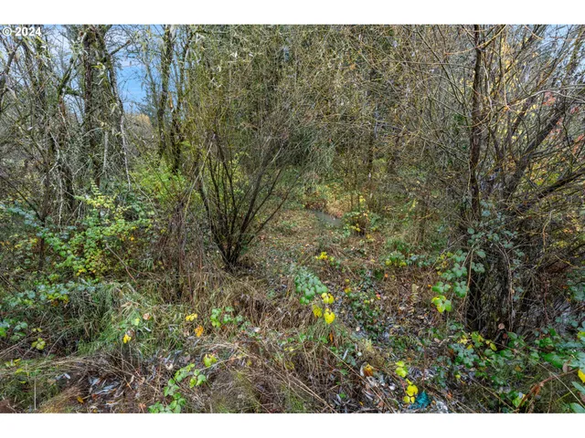 $125,000 | 0 Main Street, Sweet Home, OR 97386