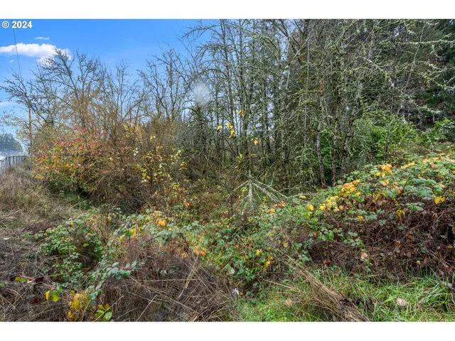 $125,000 | 0 Main Street, Sweet Home, OR 97386