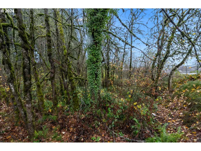 $125,000 | 0 Main Street, Sweet Home, OR 97386