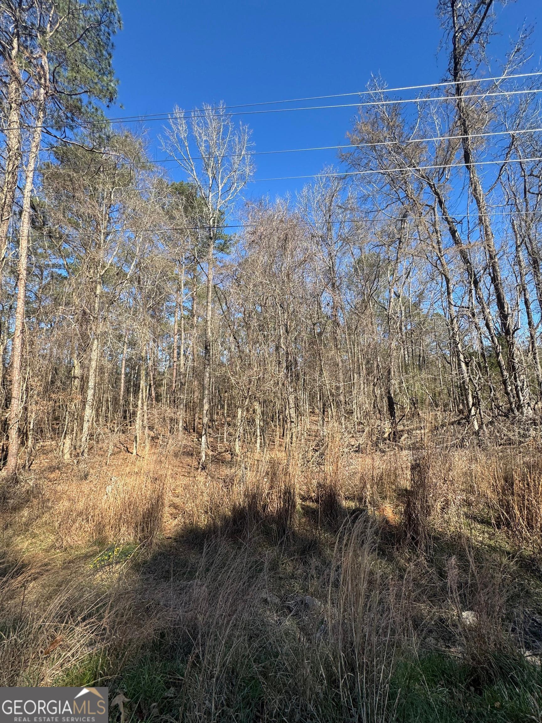 0 County Line Road Midland, GA 31820 - Photo 1 of 1 Gallery Image 1