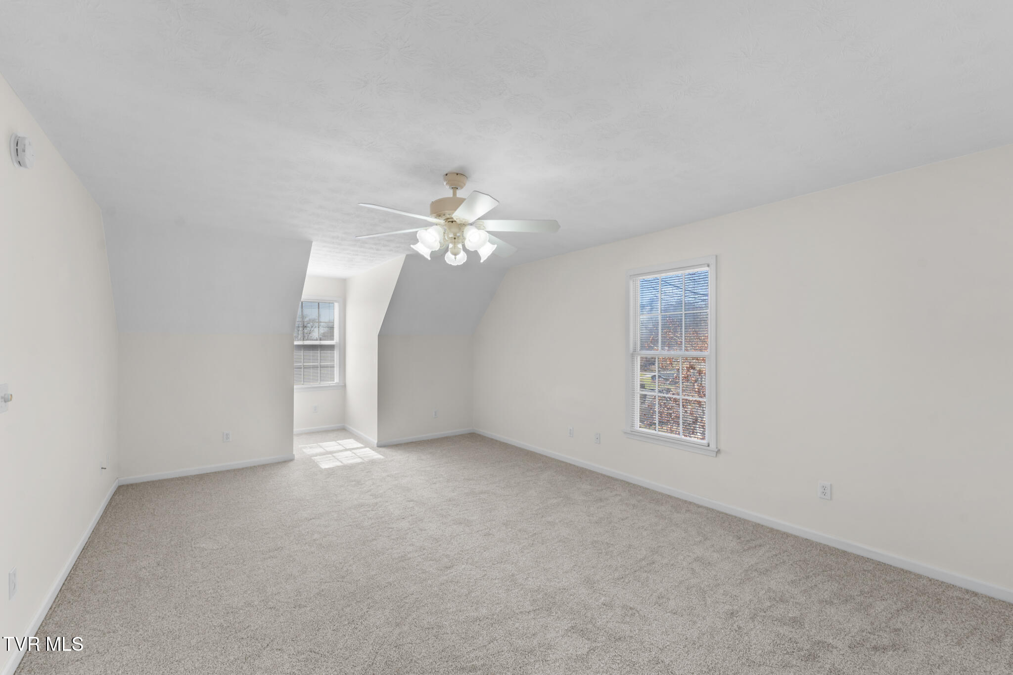 16359 Old Timber Road Abingdon, VA 24210 - Photo 35 of 78 DSC06133