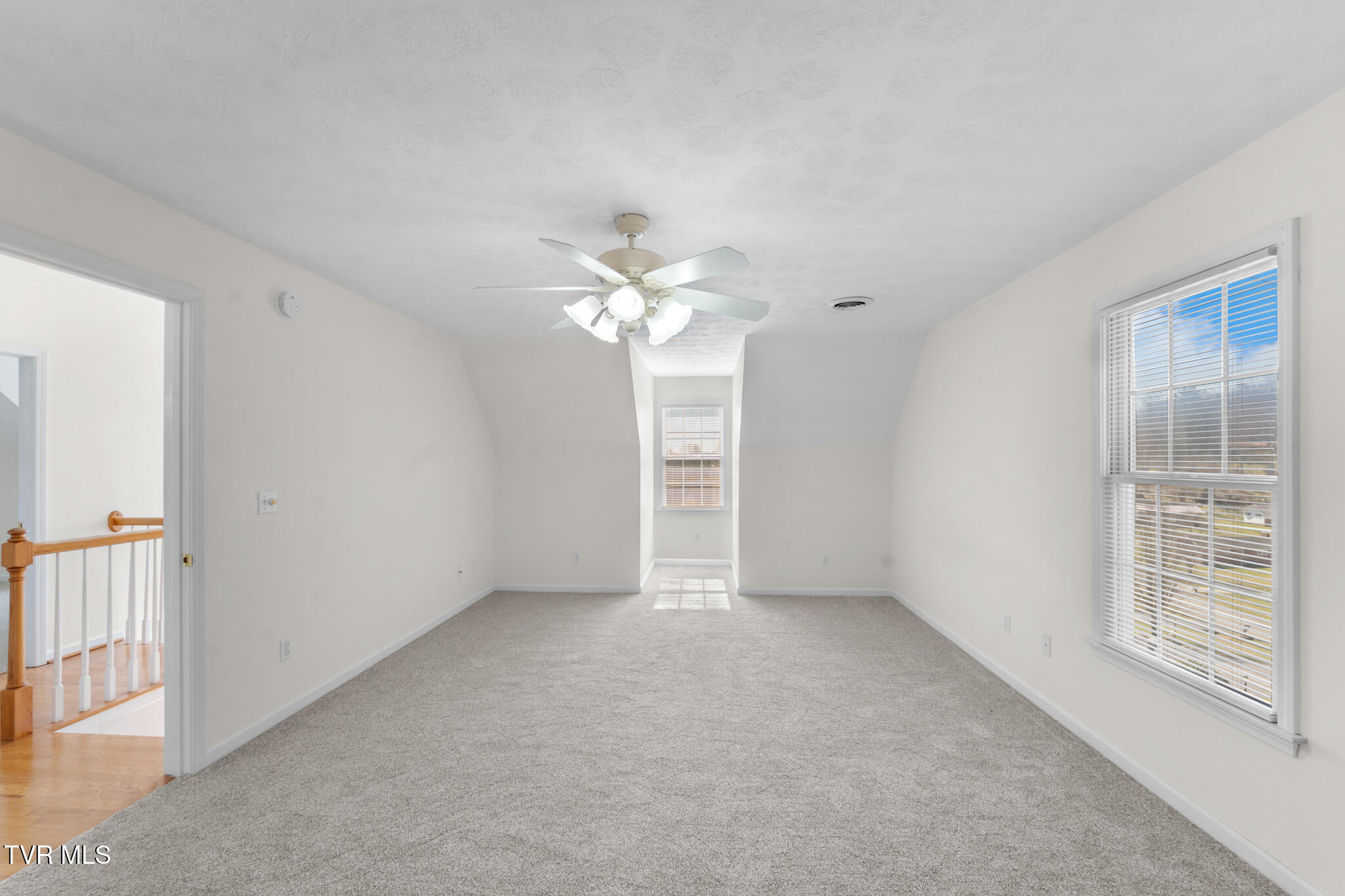 16359 Old Timber Road Abingdon, VA 24210 - Photo 36 of 78 DSC06128