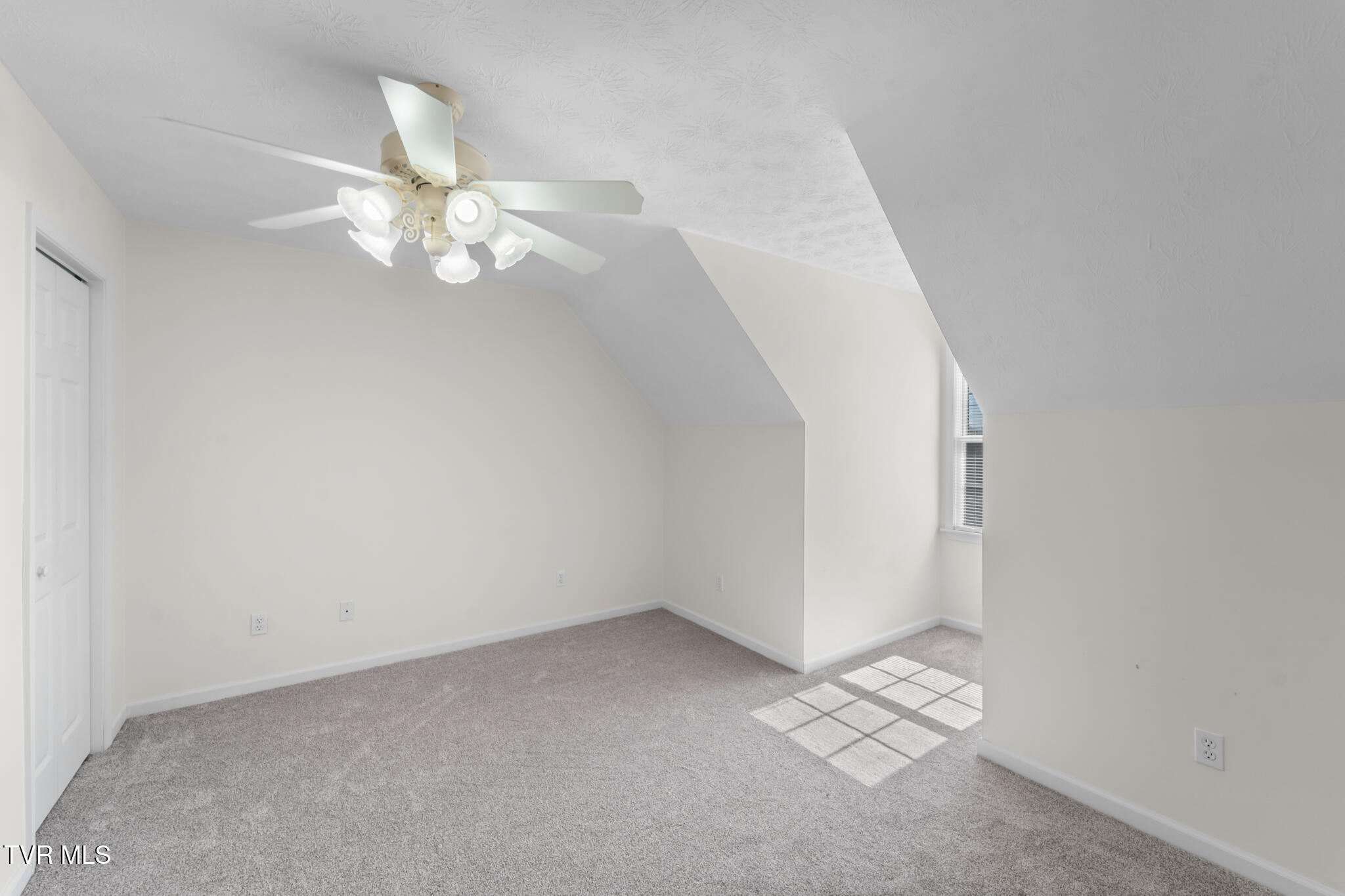 16359 Old Timber Road Abingdon, VA 24210 - Photo 41 of 78 DSC06158