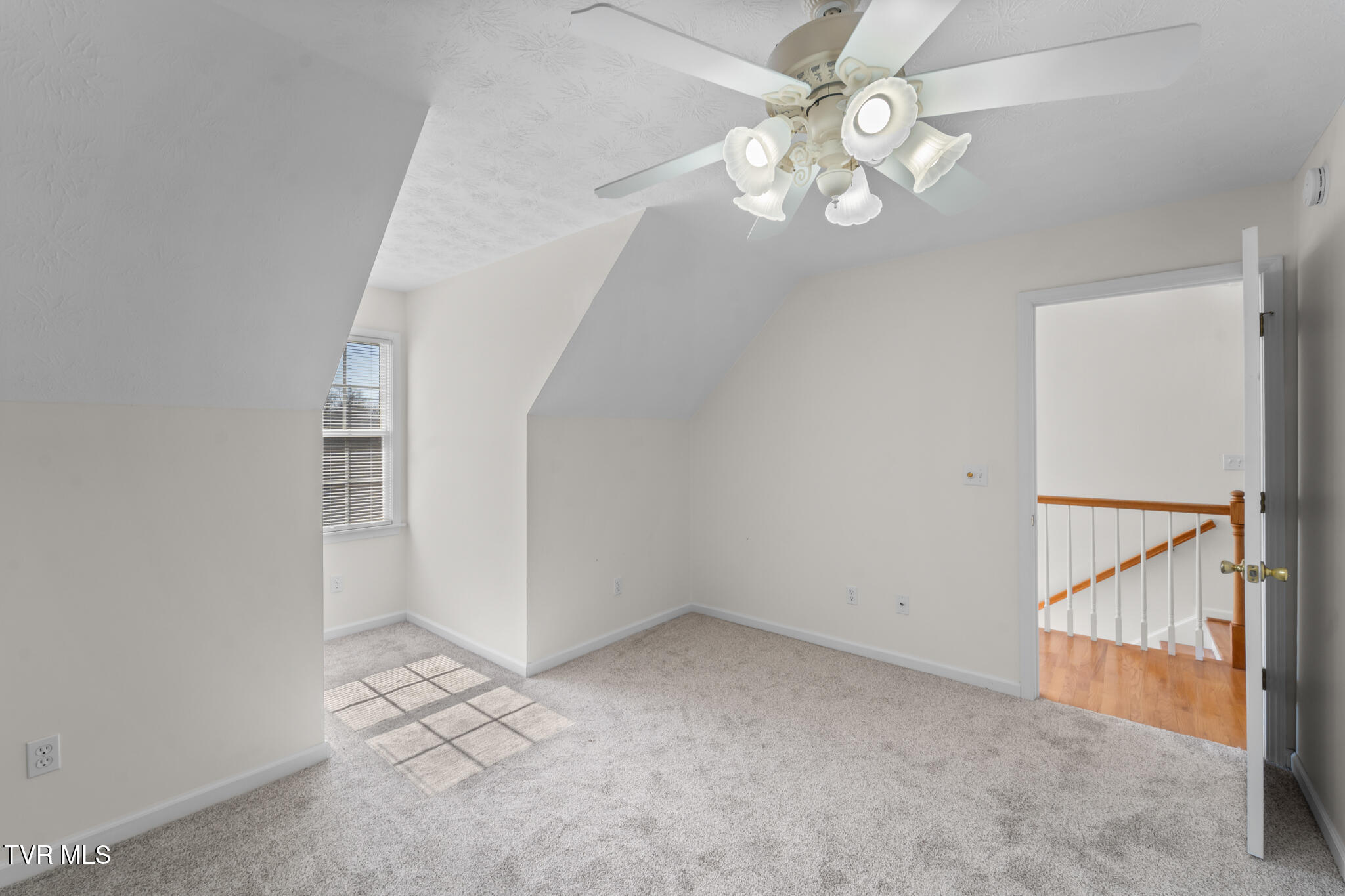 16359 Old Timber Road Abingdon, VA 24210 - Photo 42 of 78 DSC06163