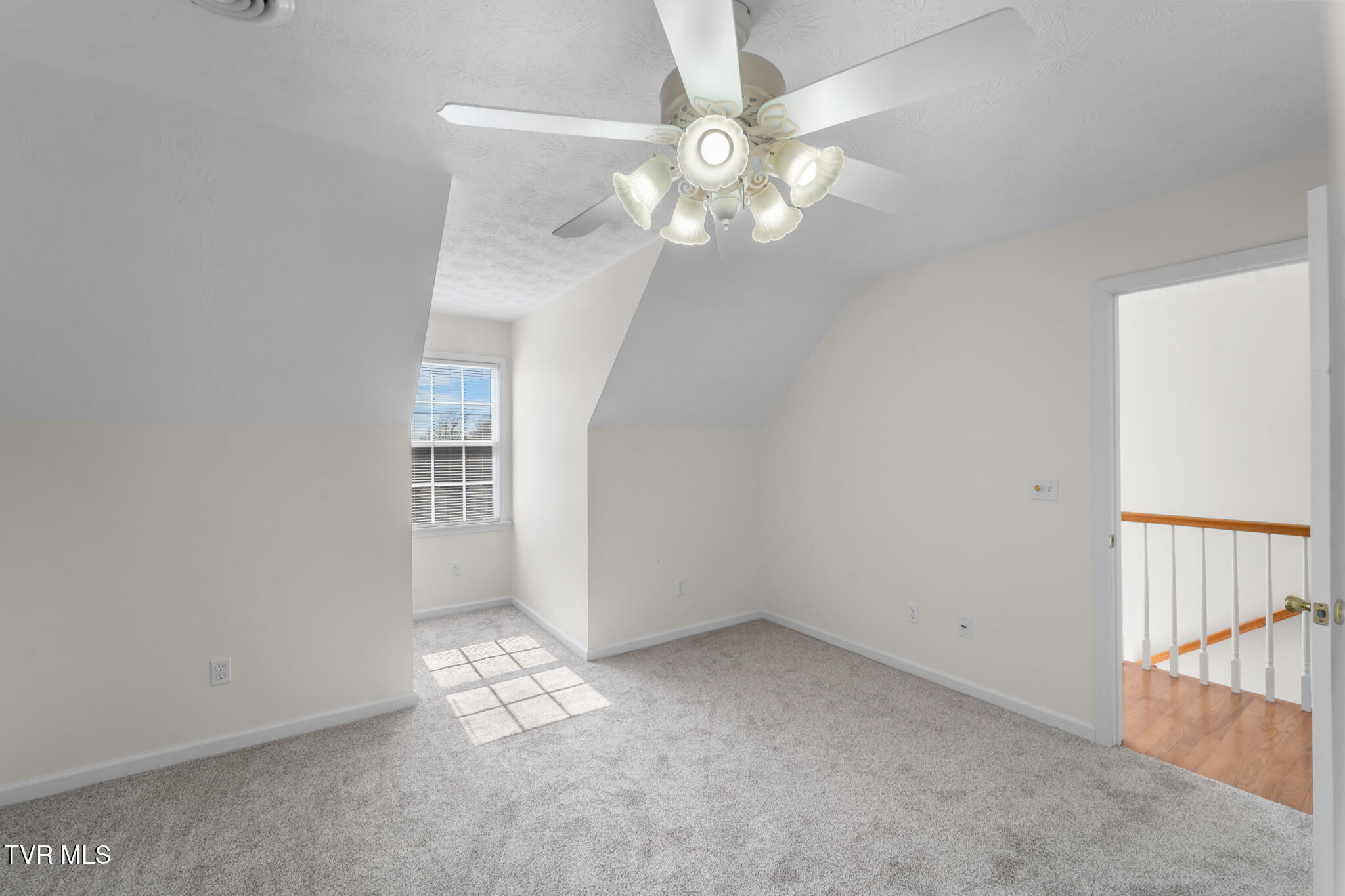 16359 Old Timber Road Abingdon, VA 24210 - Photo 43 of 78 DSC06168