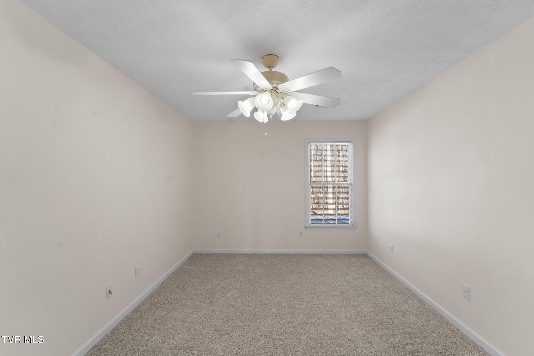 16359 Old Timber Road Abingdon, VA 24210 - Photo 45 of 78 DSC06178