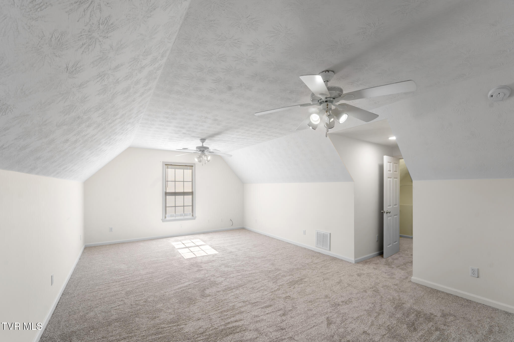 16359 Old Timber Road Abingdon, VA 24210 - Photo 53 of 78 DSC06218