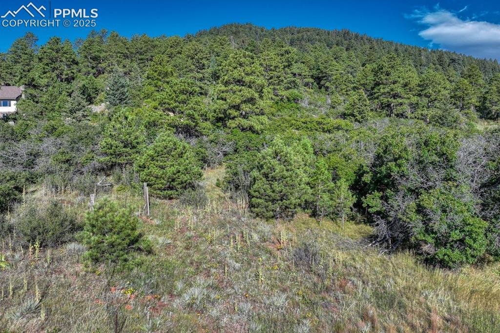 0 Columbine Road Larkspur, CO 80118 - Photo 36 of 37