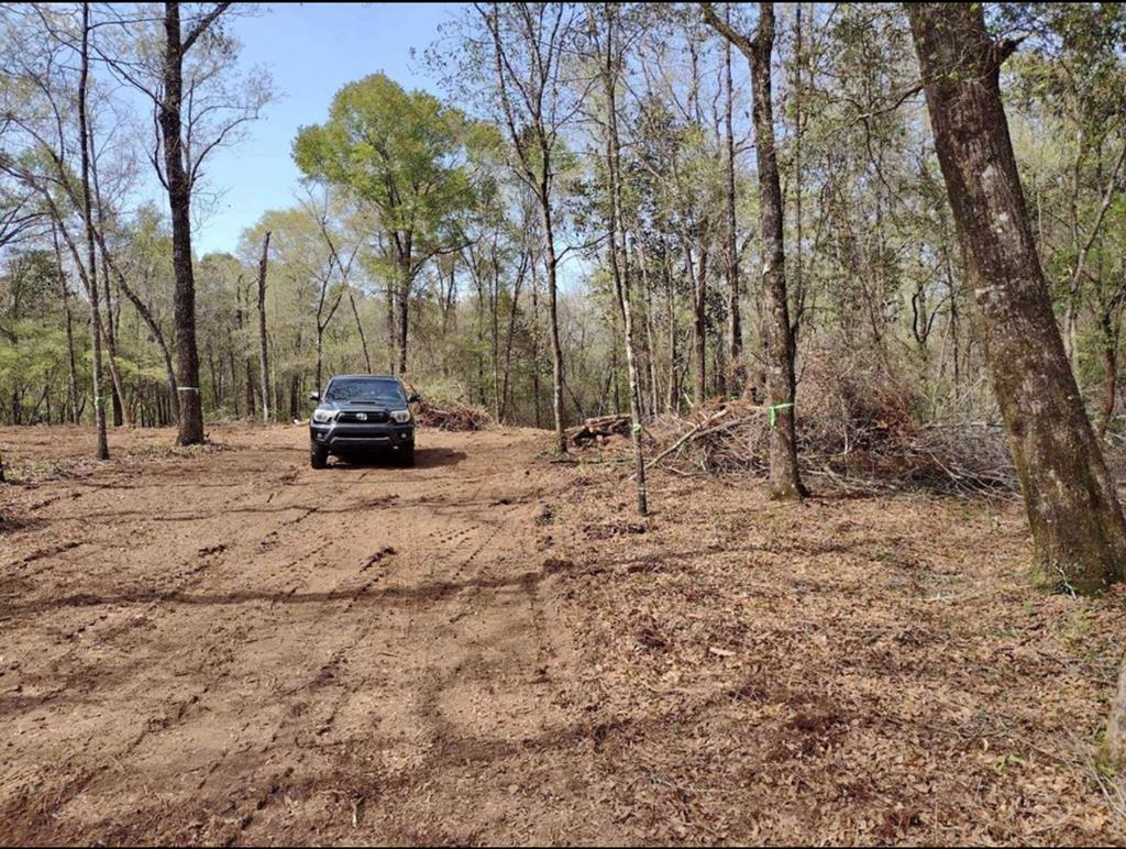 Tbd A B Stubbs Road Ozark, AL 36360 - Photo 3 of 3