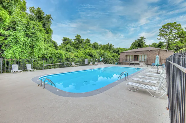 an outdoor view with swimming pool and trees in the background