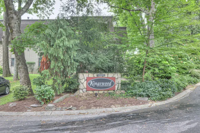 a area with lots of trees