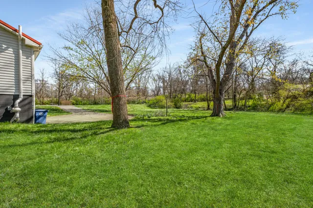 a view of green field with trees