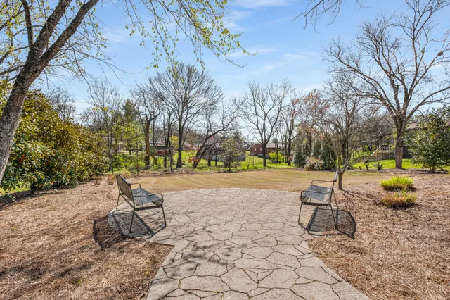 a view of a yard with a tree