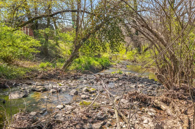 a view of yard with green space