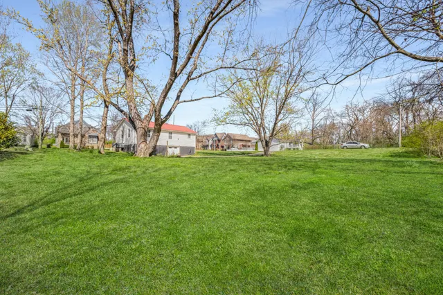 a backyard of a house with plants and large trees