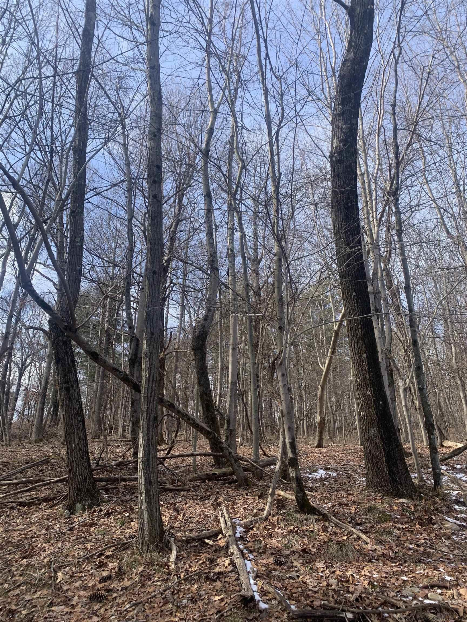 566 Fitzsimmons Road Milan, NY 12571 - Photo 12 of 18 Photo 12