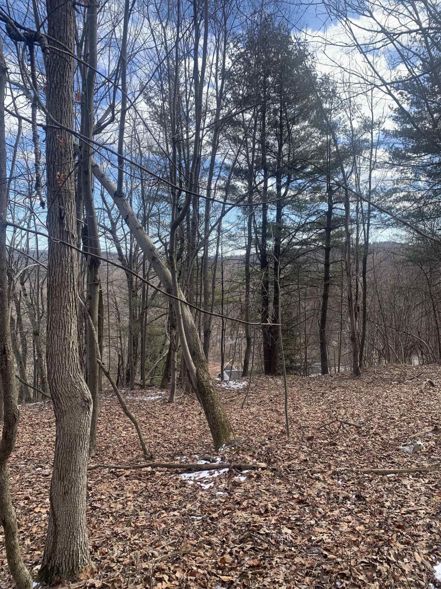 566 Fitzsimmons Road Milan, NY 12571 - Photo 13 of 18 Photo 13