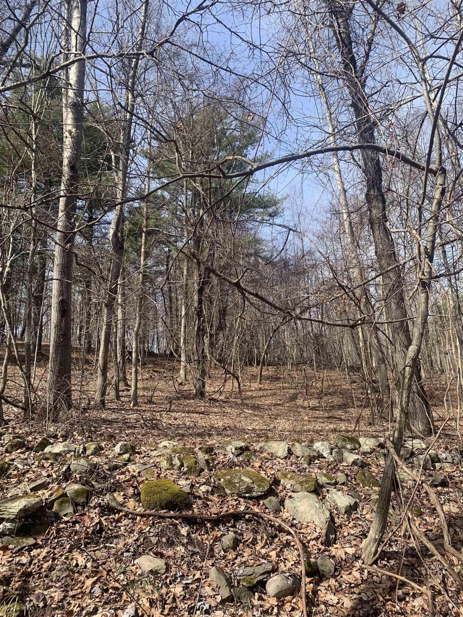 566 Fitzsimmons Road Milan, NY 12571 - Photo 3 of 18 Photo 3