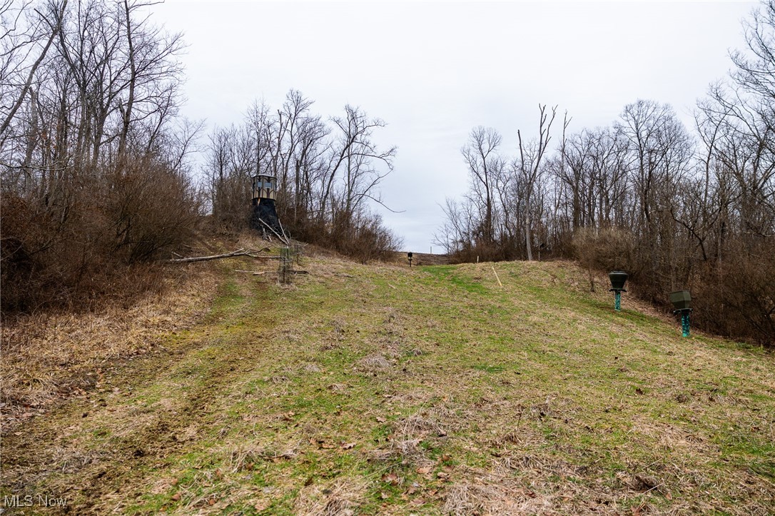 Shrimp Run Road Caldwell, OH 43724 - Photo 13 of 43 View of yard