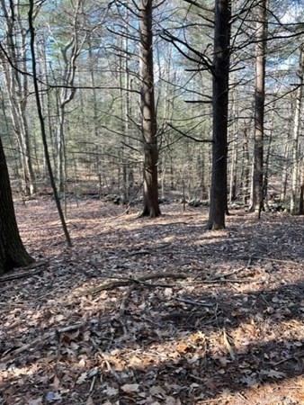0 West State Road Ashby, MA 01431 - Photo 4 of 4 a backyard of a house with lots of green space