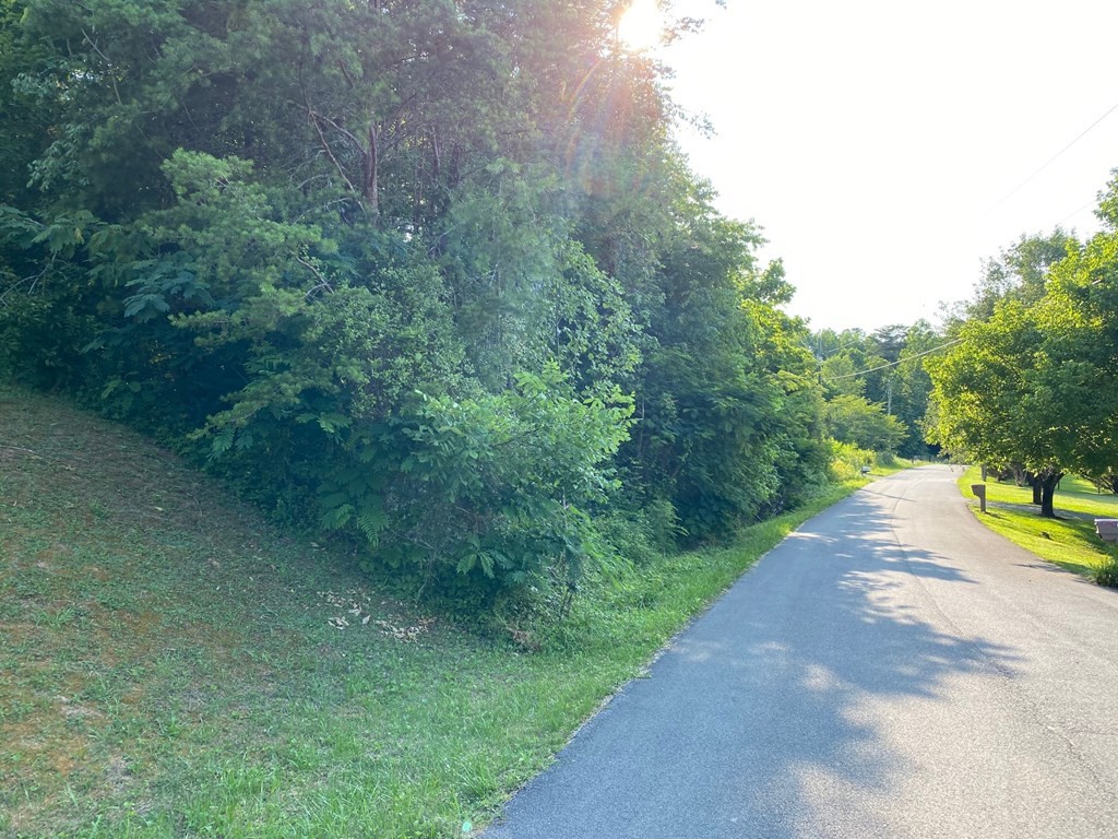 0 Jason Place Sevierville, TN 37876 - Photo 3 of 7
