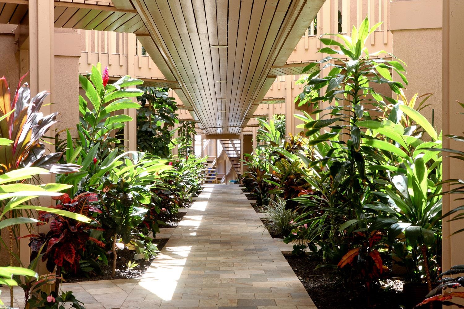 115 North Kihei Road, Unit A3 Kihei, HI 96753 - Photo 18 of 21 a view of a pathway with flower plants