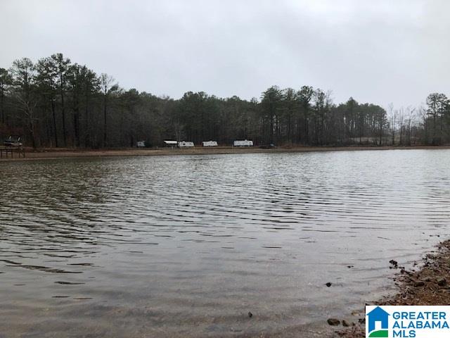 0 Lakeside Lane, Unit 31 Alpine, AL 35014 - Photo 21 of 42