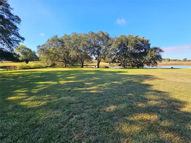 a view of a park with large trees