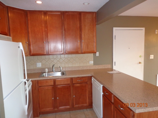 5850 Forest View Road, Unit F Lisle, IL 60532 - Photo 8 of 16