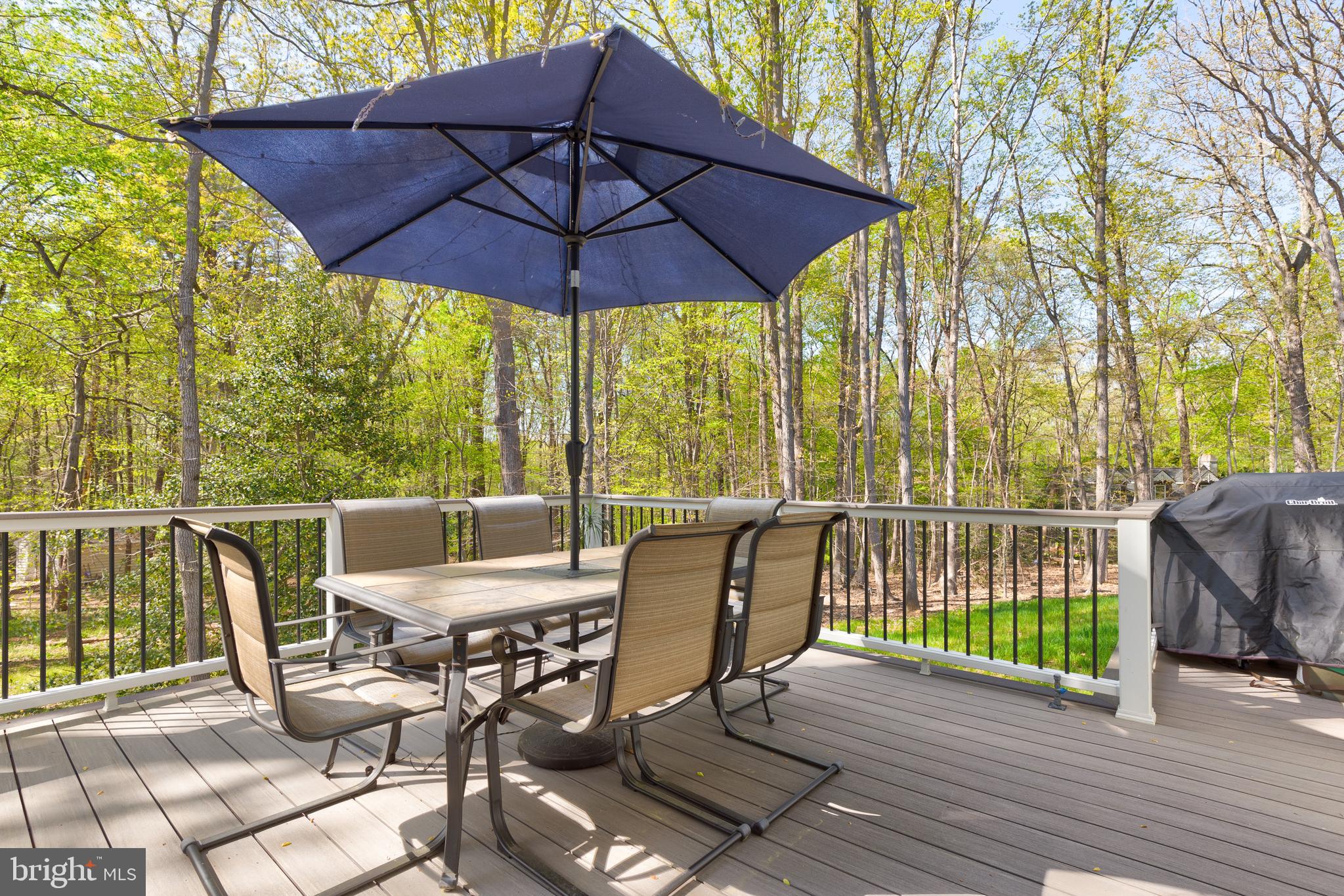 12329 Purcell Road Manassas, VA 20112 - Photo 14 of 71 Deck