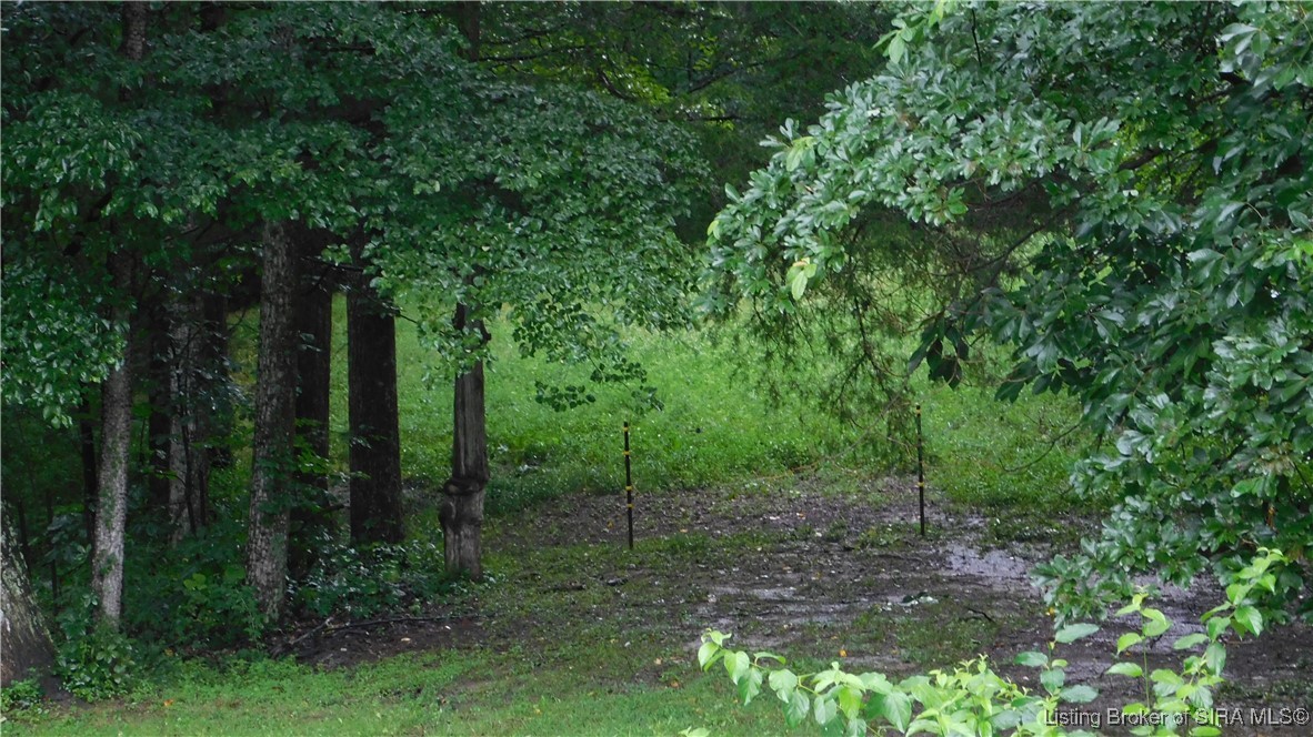 4882 North Coon Hunter Road Campbellsburg, IN 47108 - Photo 12 of 33